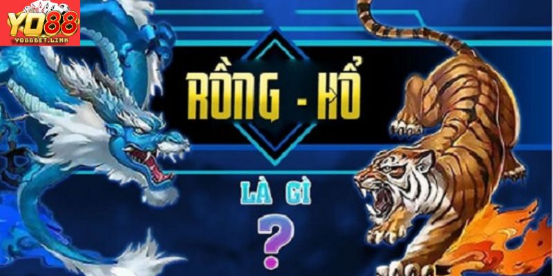 Rồng Hổ Là Gì - Tổng Hợp Những Thông Tin Bạn Cần Nên Biết