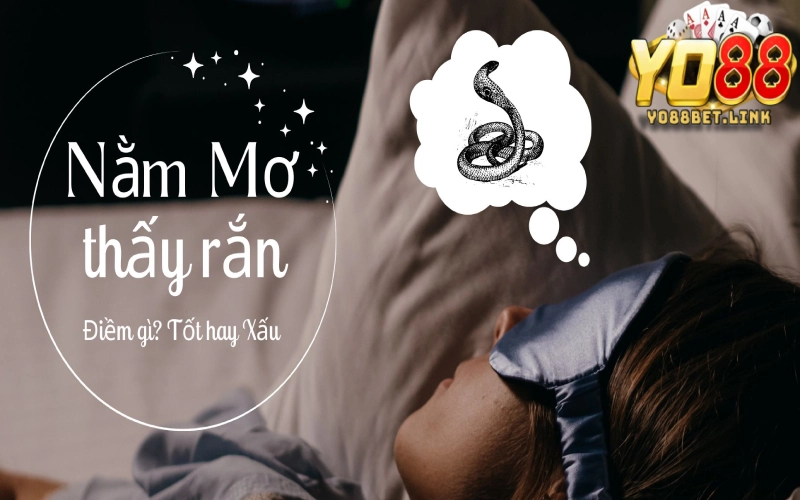 Sáng tỏ nằm mơ thấy rắn ẩn chứa điềm tốt hay xấu?