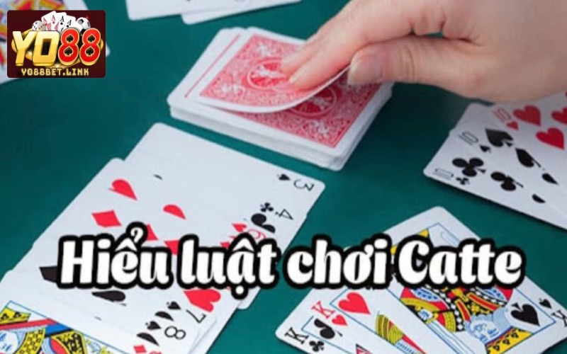 Tân thủ có thể nhanh chóng nắm bắt cách chơi catte